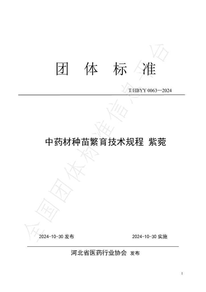 T/HBYY 0063-2024 标准预览