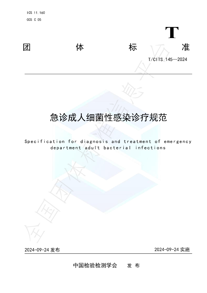 T/CITS 145-2024 标准预览