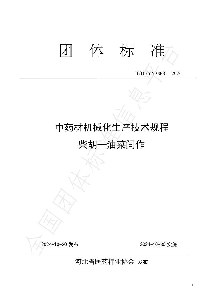 T/HBYY 0066-2024 标准预览