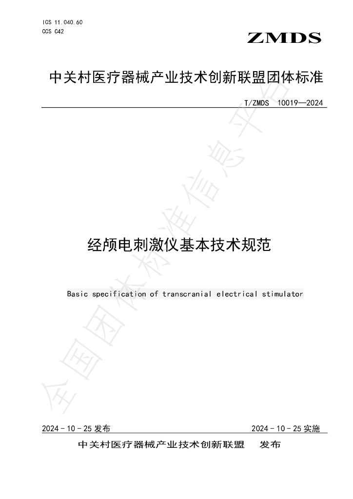T/ZMDS 10019-2024 标准预览