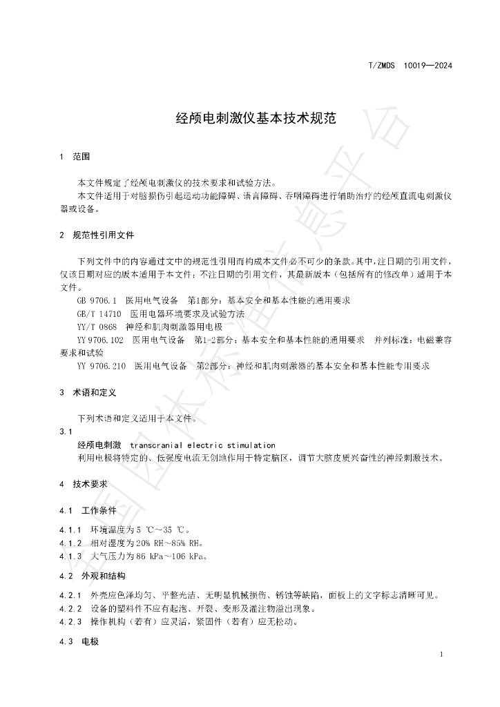 T/ZMDS 10019-2024 标准预览