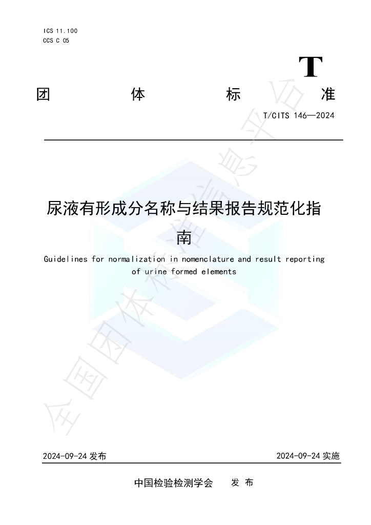 T/CITS 146-2024 标准预览