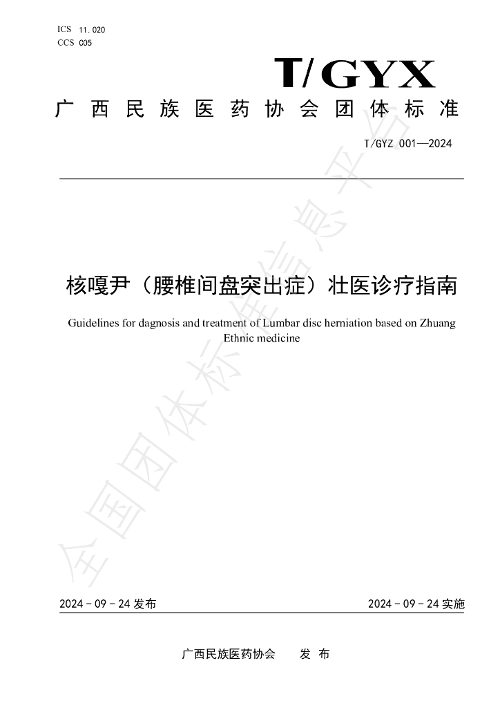 T/GYX 001-2024 标准预览