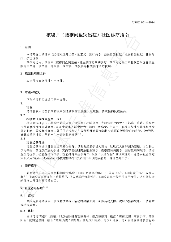 T/GYX 001-2024 标准预览