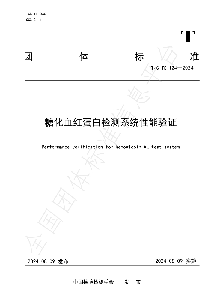 T/CITS 124-2024 标准预览