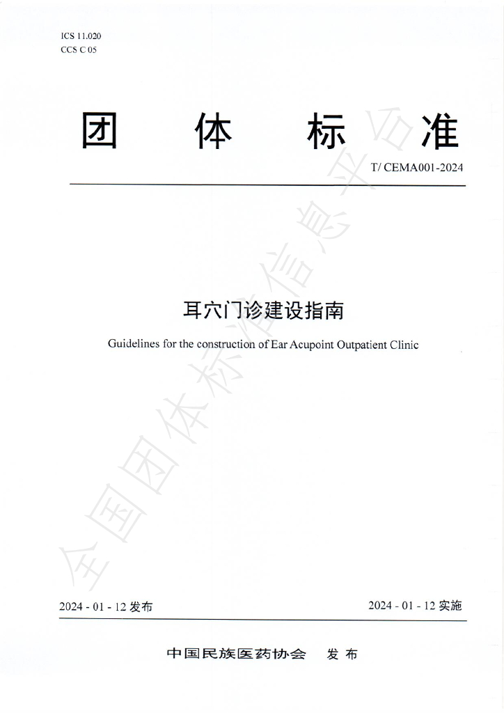 T/CEMA 001-2024 标准预览