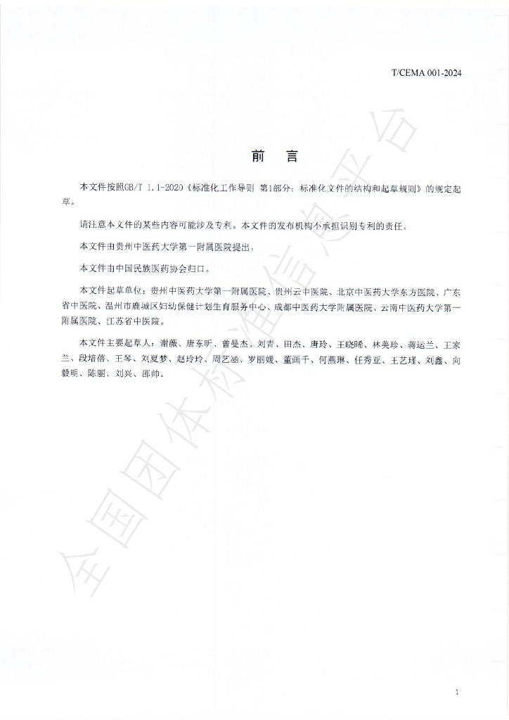 T/CEMA 001-2024 标准预览