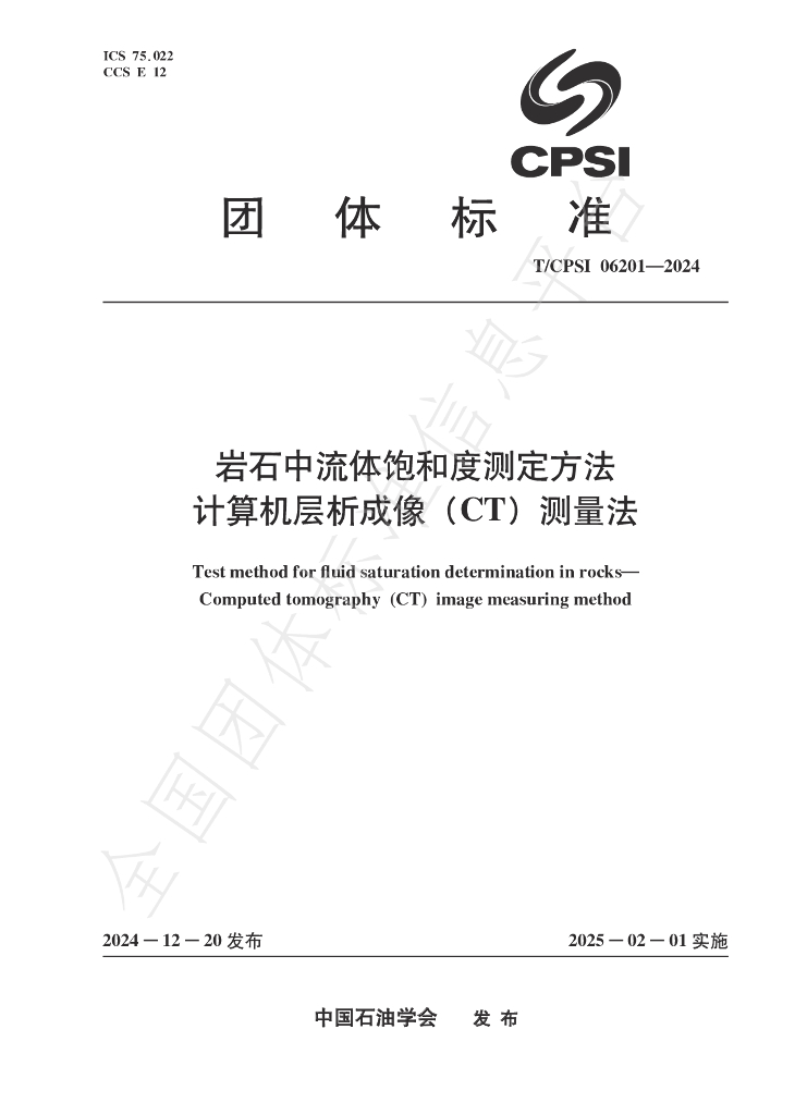 T/CPSI 06201-2024 标准预览