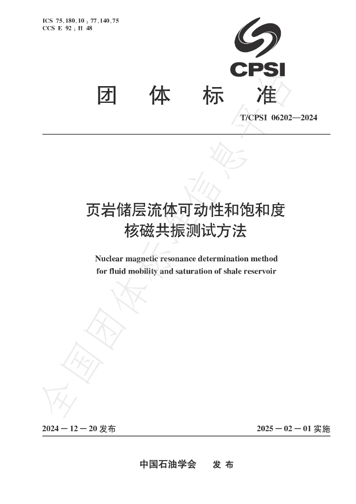 T/CPSI 06202-2024 标准预览