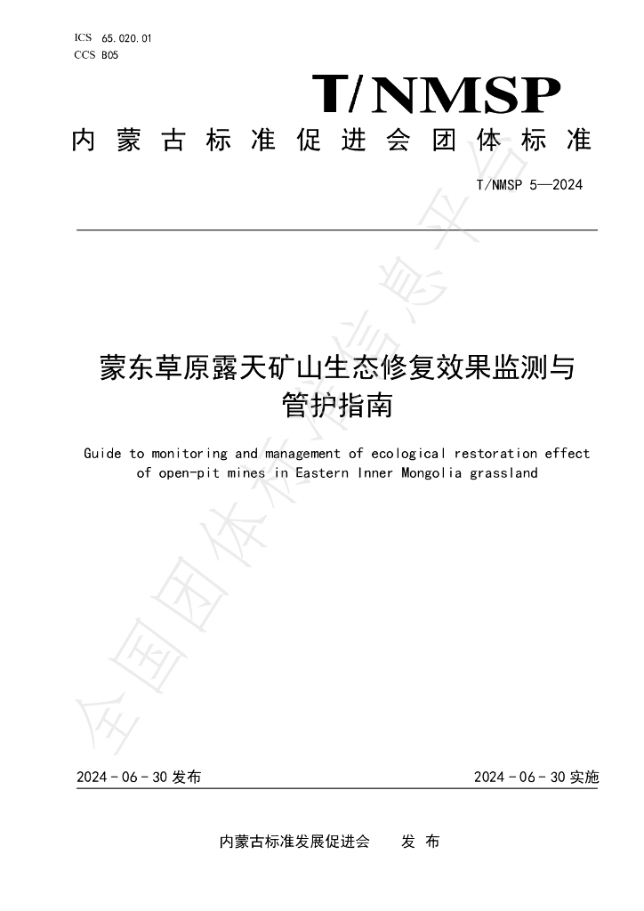 T/NMSP 5-2024 标准预览