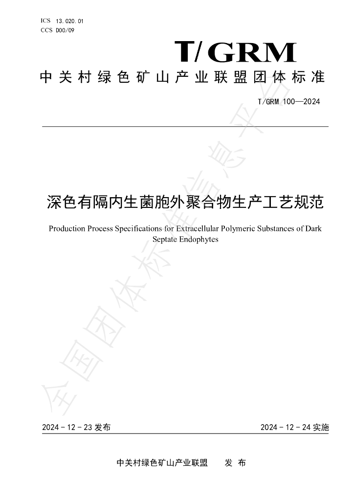 T/GRM 100-2024 标准预览