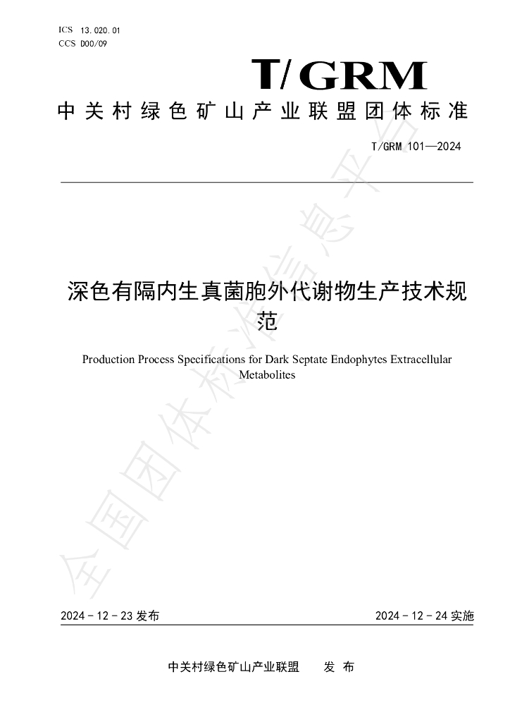 T/GRM 101-2024 标准预览