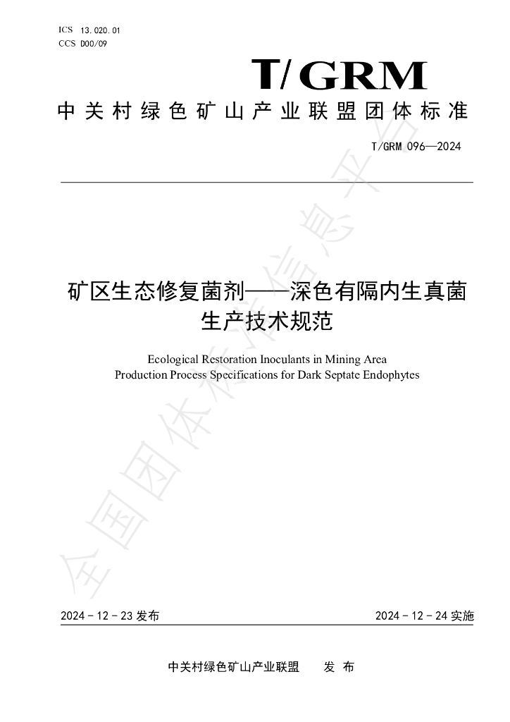 T/GRM 096-2024 标准预览