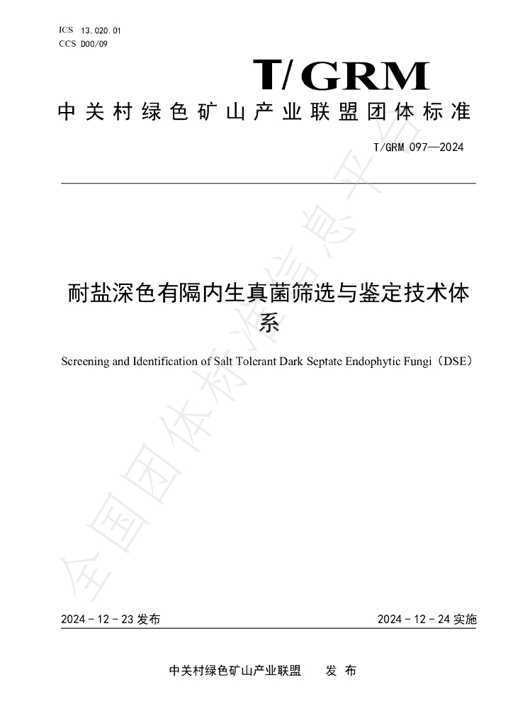 T/GRM 097-2024 标准预览