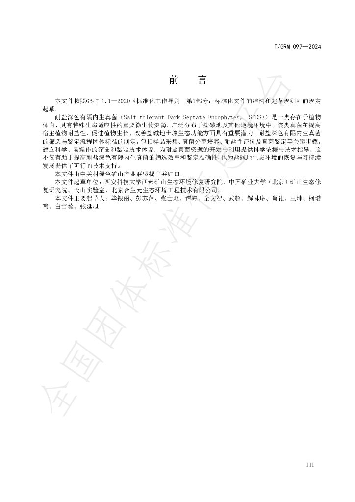 T/GRM 097-2024 标准预览