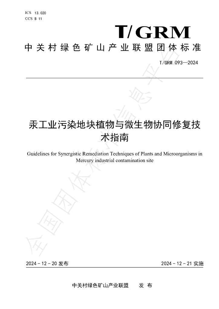 T/GRM 093-2024 标准预览