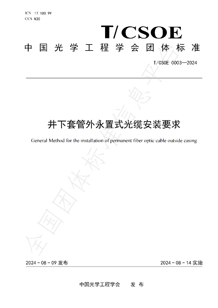 T/CSOE 0003-2024 标准预览