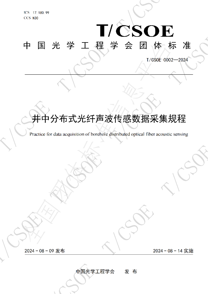 T/CSOE 0002-2024 标准预览