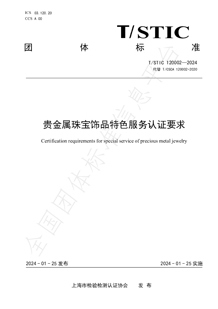 T/STIC 120002-2024 标准预览