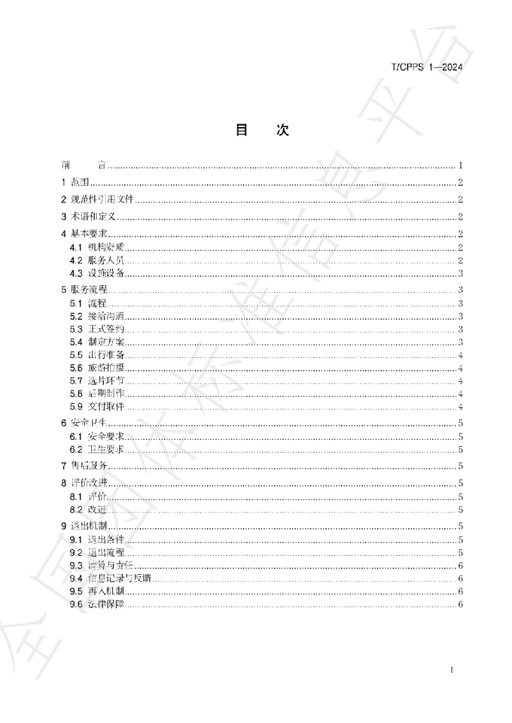 T/CPPS 1-2024 标准预览