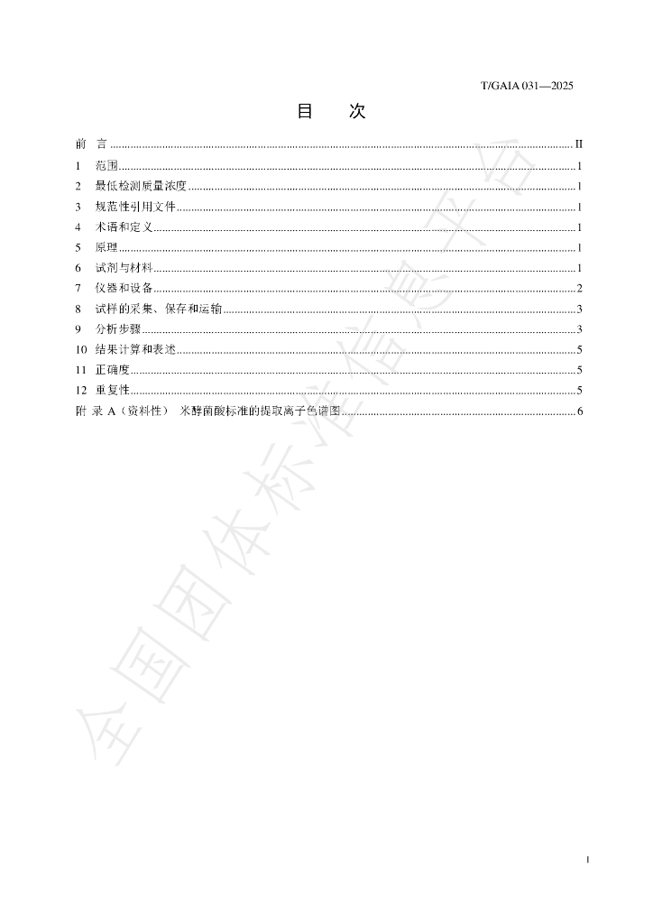 T/GAIA 031-2025 标准预览