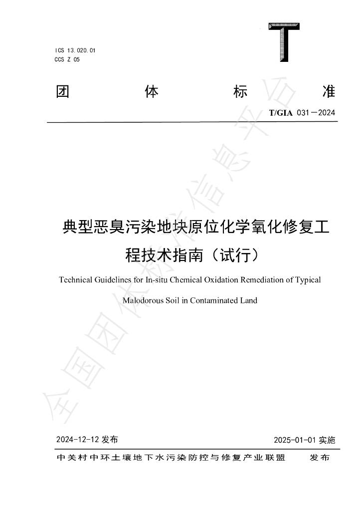 T/GIA 031-2024 标准预览