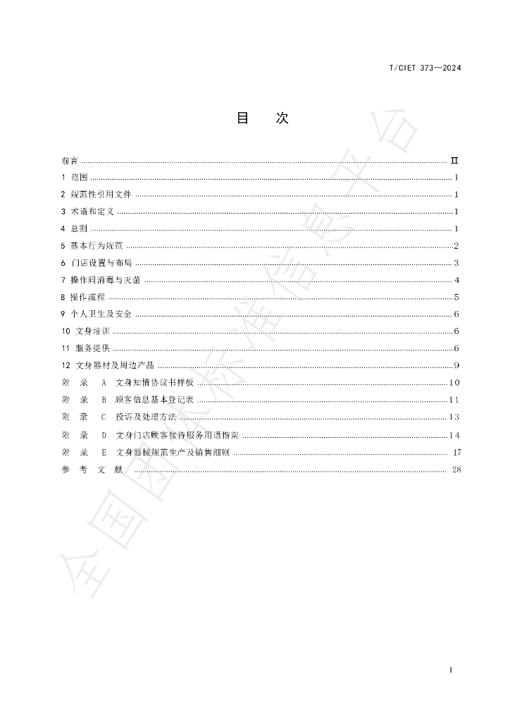 T/CIET 373-2024 标准预览