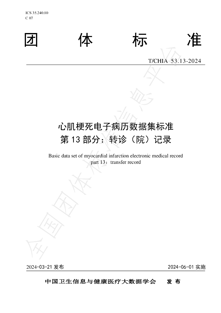 T/CHIA 53.13-2024 标准预览