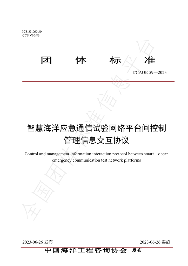 T/CAOE 59-2023 标准预览