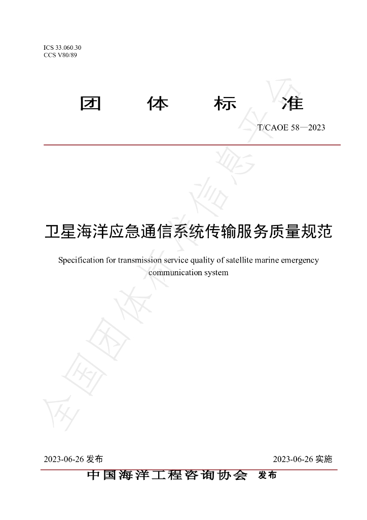 T/CAOE 58-2023 标准预览