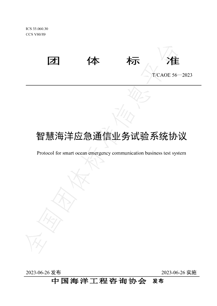 T/CAOE 56-2023 标准预览