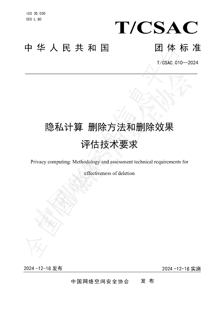 T/CSAC 010-2024 标准预览