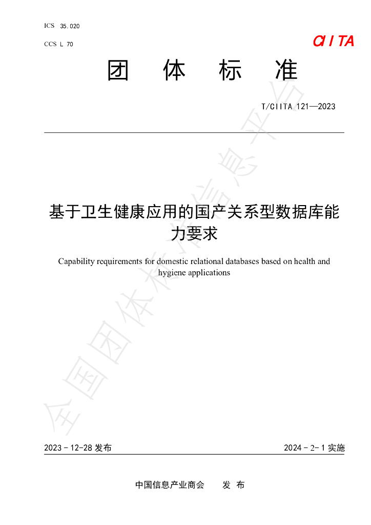 T/CIITA 121-2023 标准预览