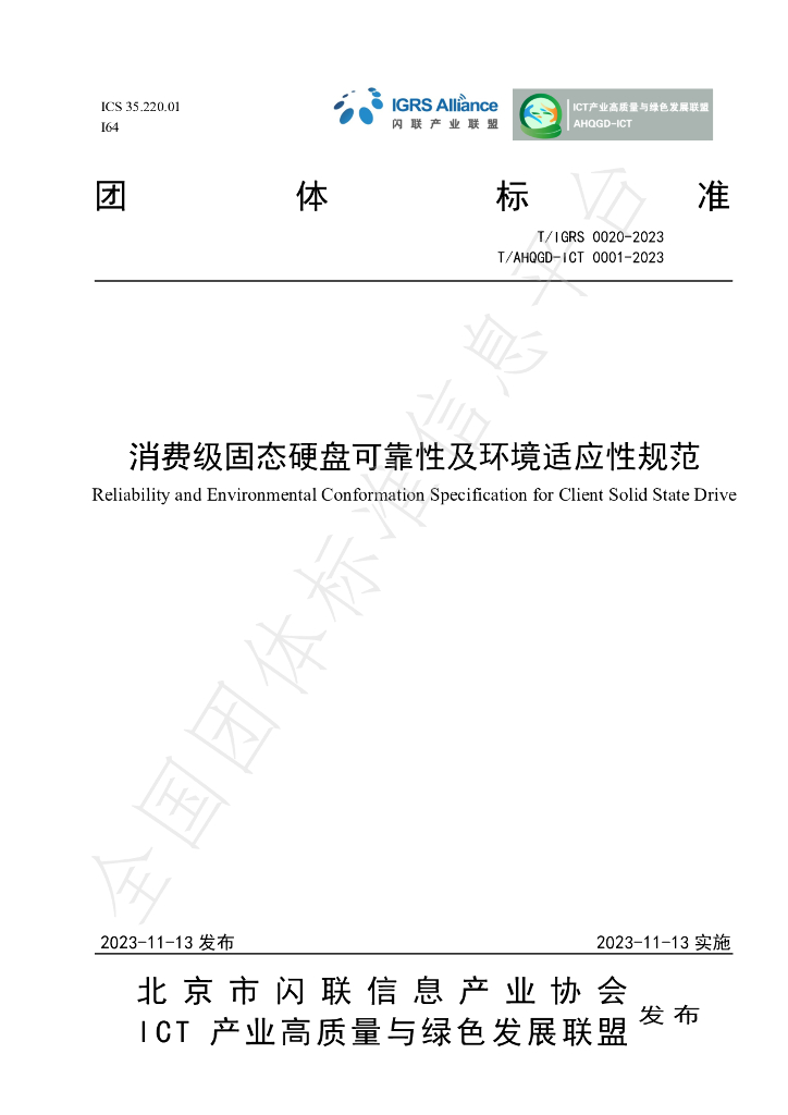 T/IGRS 00020-2023 标准预览