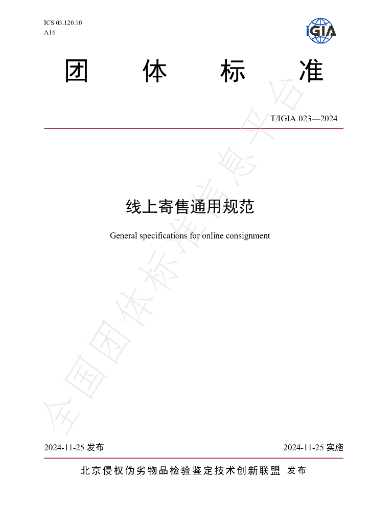 T/IGIA 023-2024 标准预览
