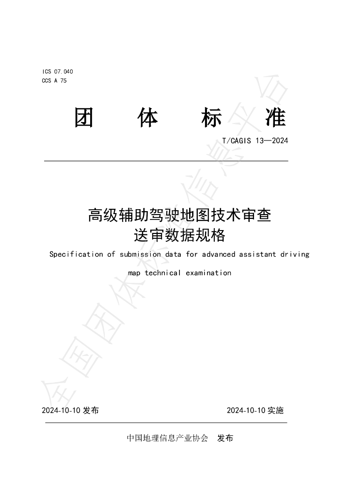 T/CAGIS 13-2024 标准预览