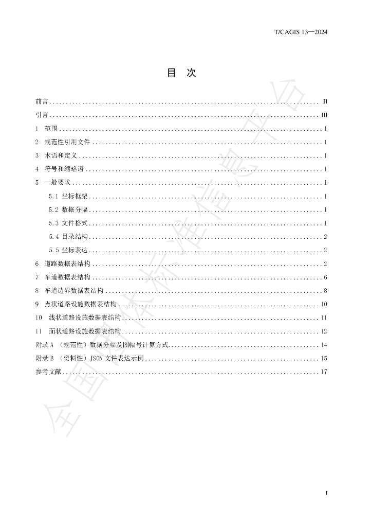 T/CAGIS 13-2024 标准预览
