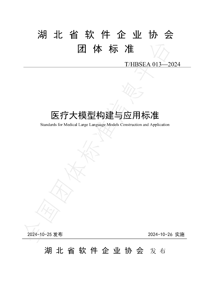 T/HBSEA 013-2024 标准预览
