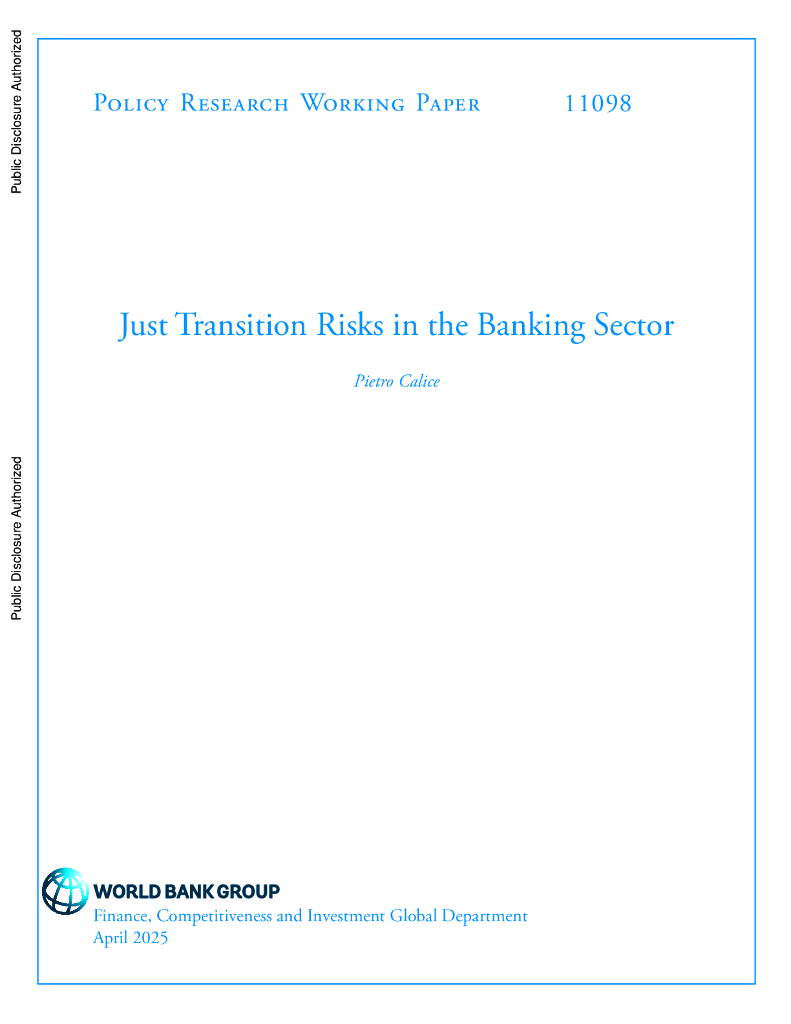 世界银行：银行业的转型风险（英文版）