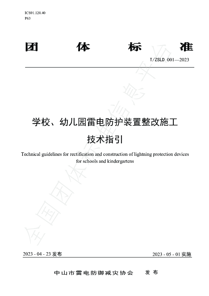 T/ZSLD 001-2023 标准预览