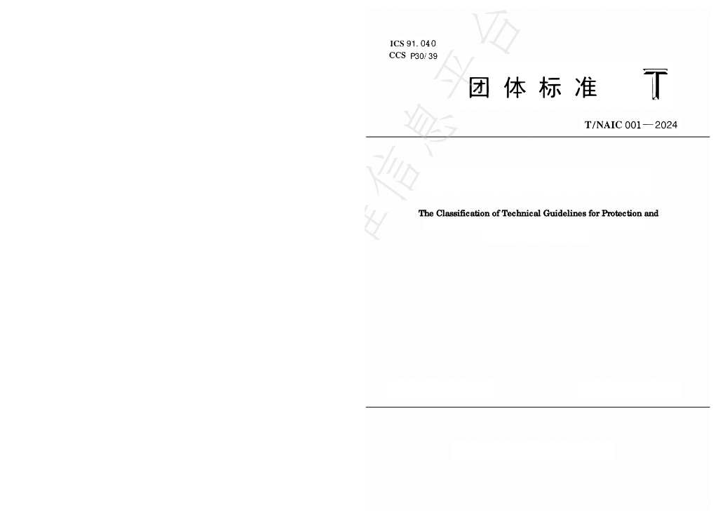 T/NAIC 001-2024 标准预览