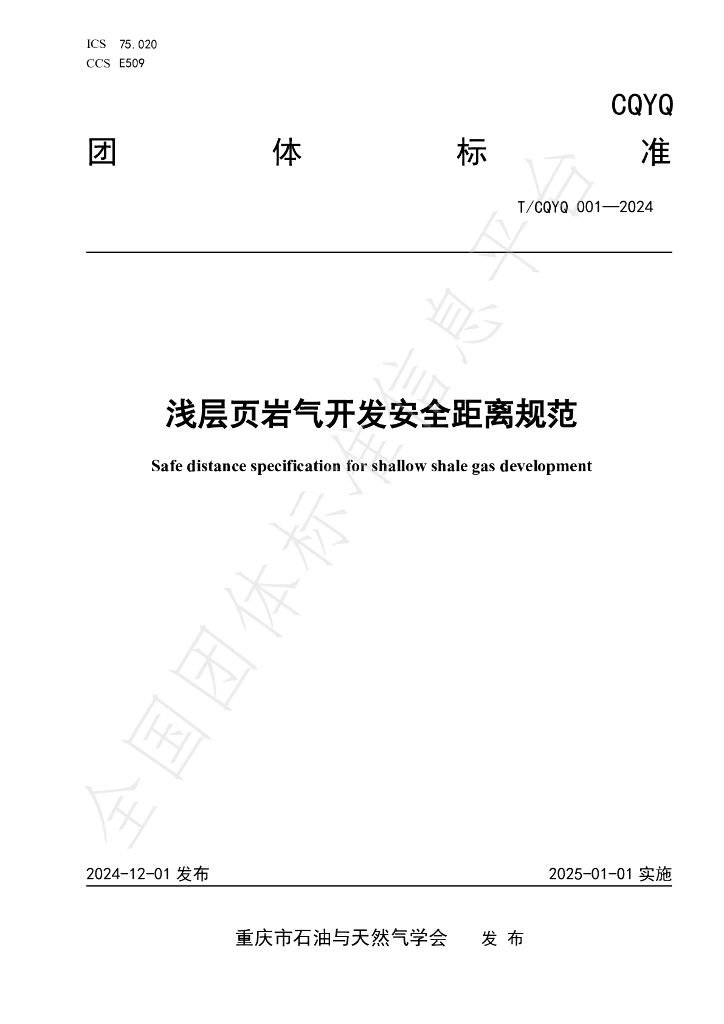 T/CQCPNS 001-2024 标准预览