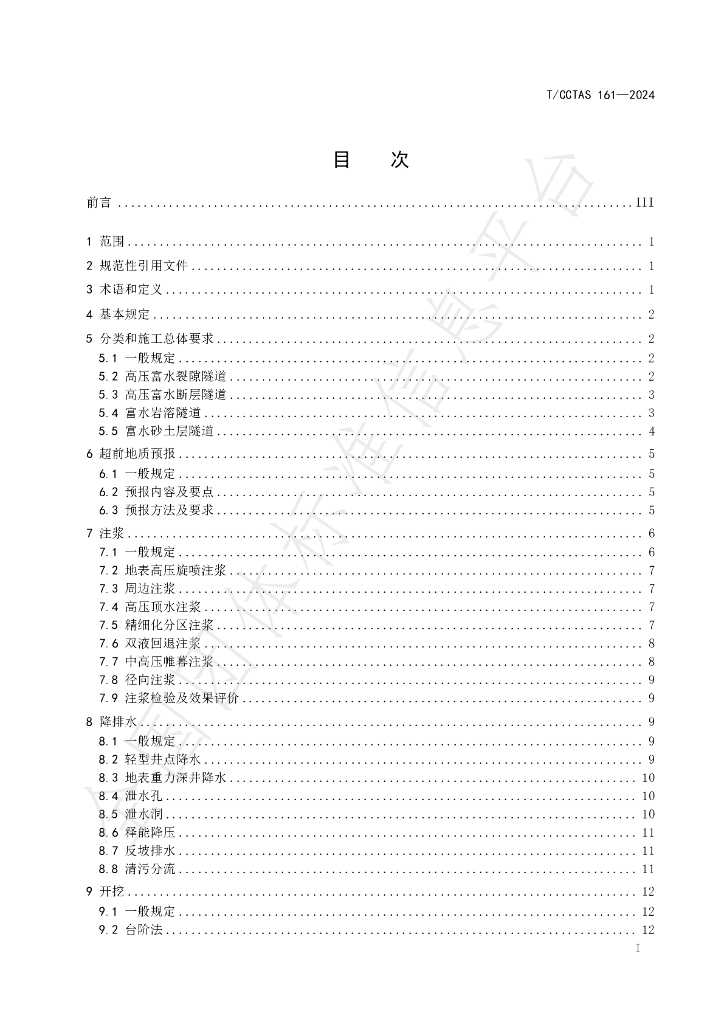 T/CCTAS 161-2024 标准预览