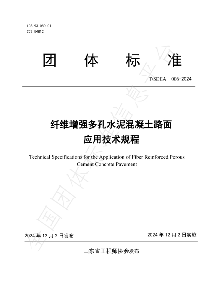 T/SDEA 006-2024 标准预览