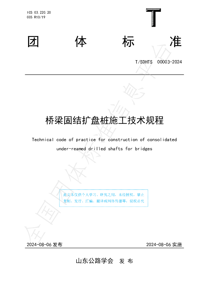 T/SDHTS 00003-2024 标准预览