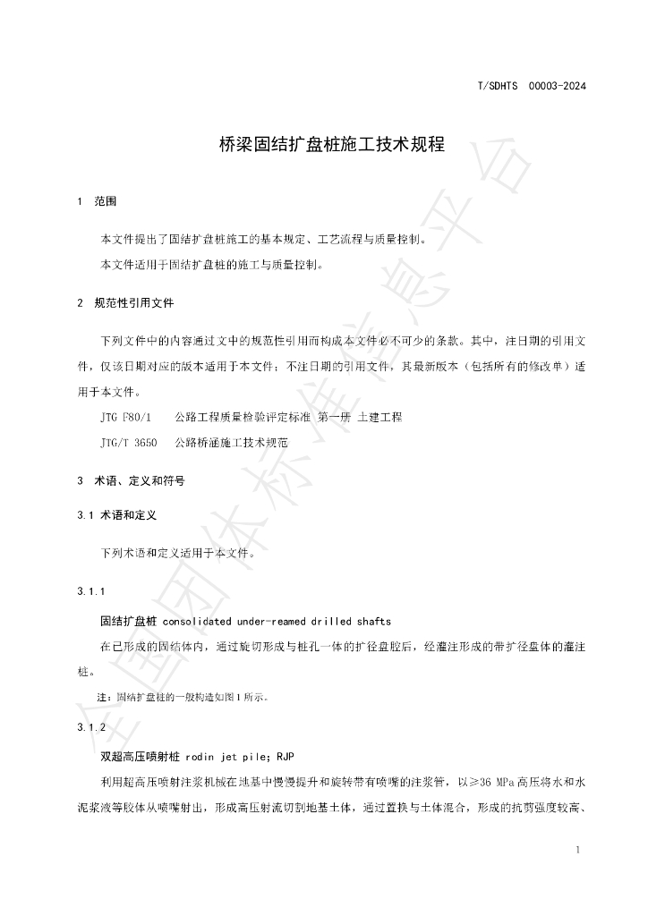 T/SDHTS 00003-2024 标准预览