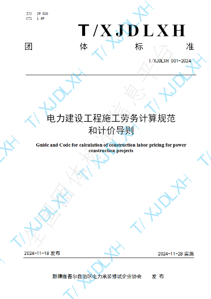 T/XJDLXH 001-2024 标准预览