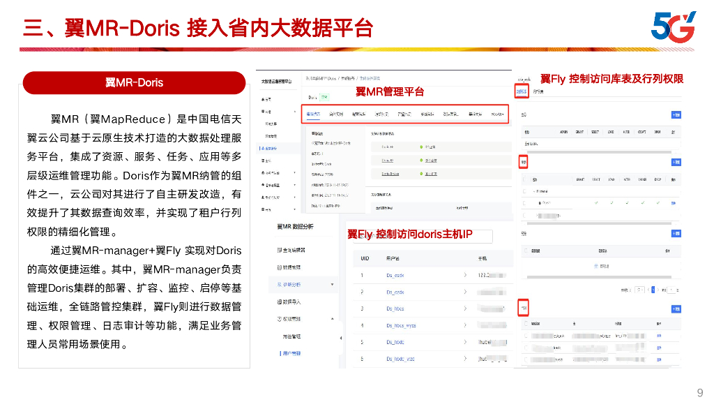 李智祯：翼MR-Doris在湖北电信场景下的应用分享_第9页