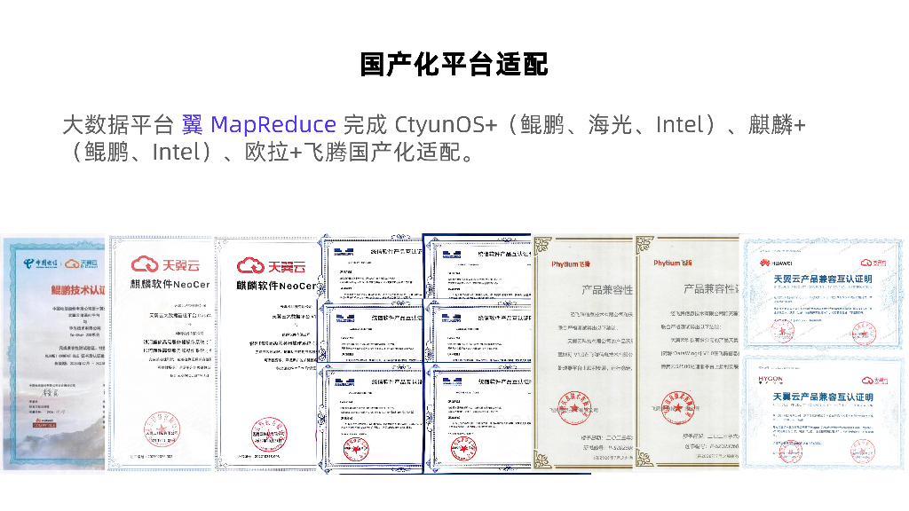刘重阳：Apache Doris在国产化环境中的应用探索_第6页