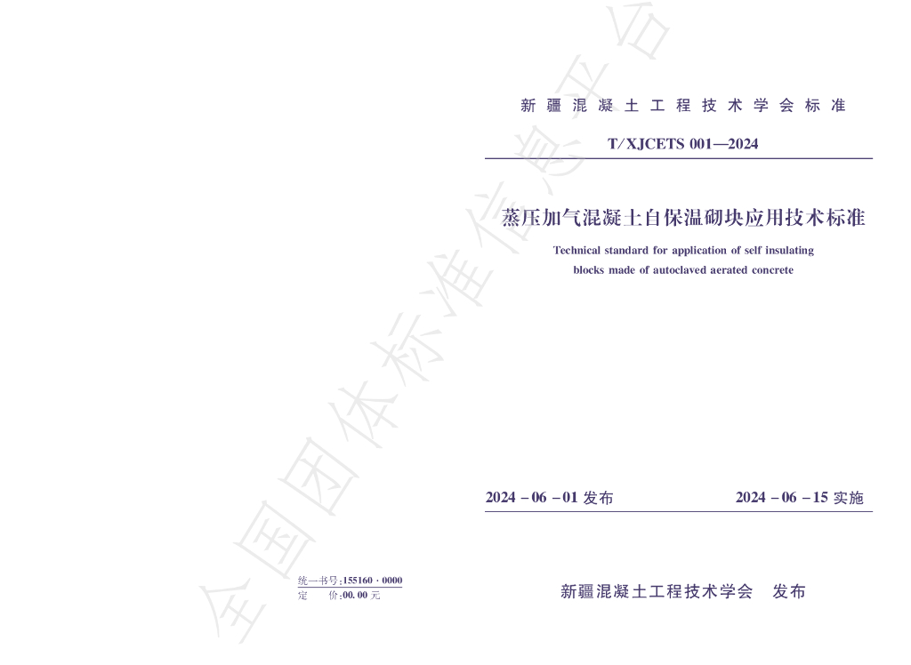 T/XJCETS 001-2024 标准预览